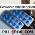 Black Ant Pills viagra2